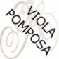 VIOLA POMPOSA / VLC DA SPALLA