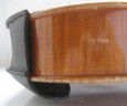 Viola Pad - PADDY Dark Brown + Cushion