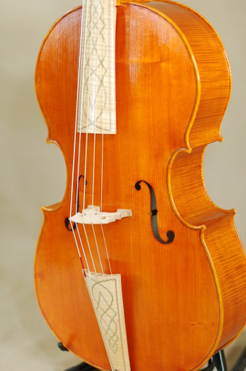 Cello Piccolo by Jacek Siwica Zoom