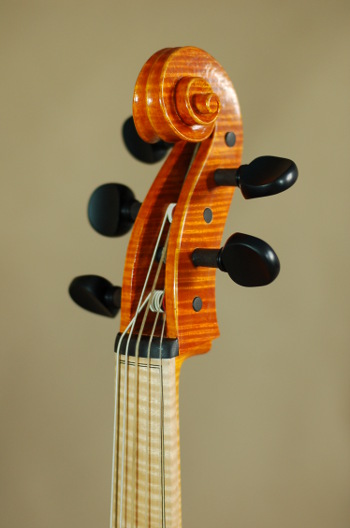 Cello Piccolo by Jacek Siwica Head