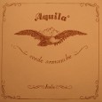 string king strings aquila