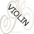 Violin