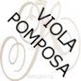 Cello da Spalla/Viola Pomposa