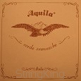 Aquila