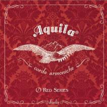 Aquila