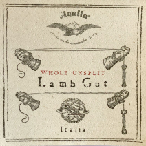 Aquila