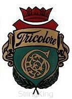 Tricolore gut -Vln a-2 Medium-0.78mm-single length