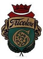 Tricolore gut -Vln a-2 Medium-0.78mm-single length