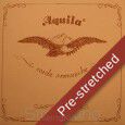 0.60 mm - Varnished/HV-Beef gut-Pre-Stretched