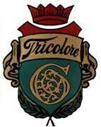 Tricolore gut -Vln a-2 Heavy-0.80mm-single length