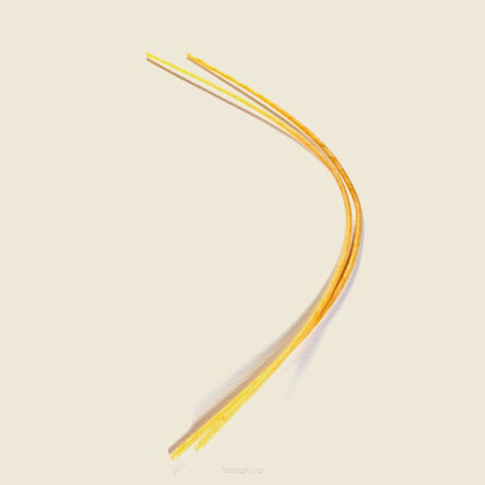 Tail gut for cello/bass viol - 2.90mm / 30 cm